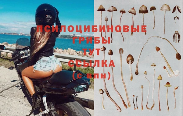 наркотики Аркадак