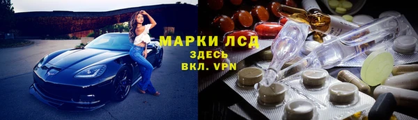 индика Армянск