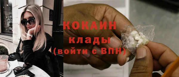 стаф Арсеньев