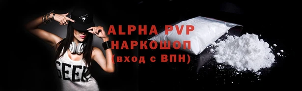 стаф Арсеньев