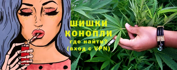 стаф Арсеньев