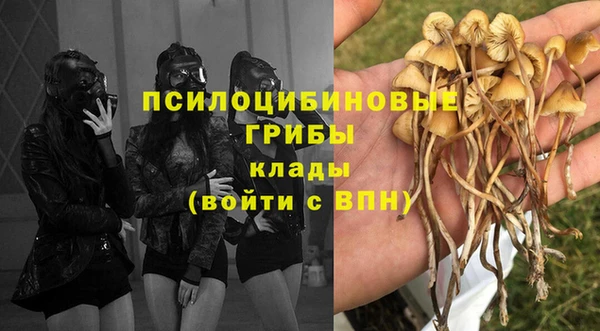 индика Армянск