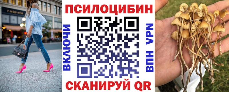 Псилоцибиновые грибы MAGIC MUSHROOMS  Усть-Кут 
