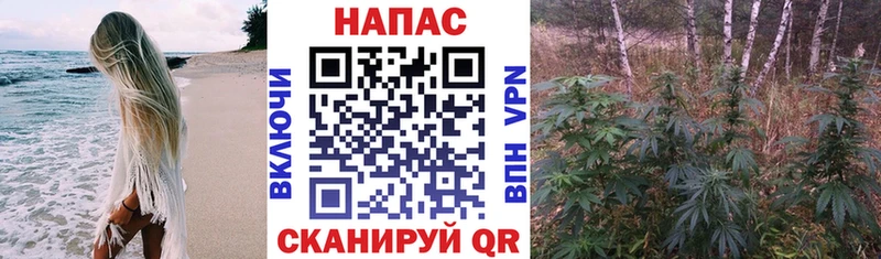 Канабис план  МЕГА ТОР  Усть-Кут 